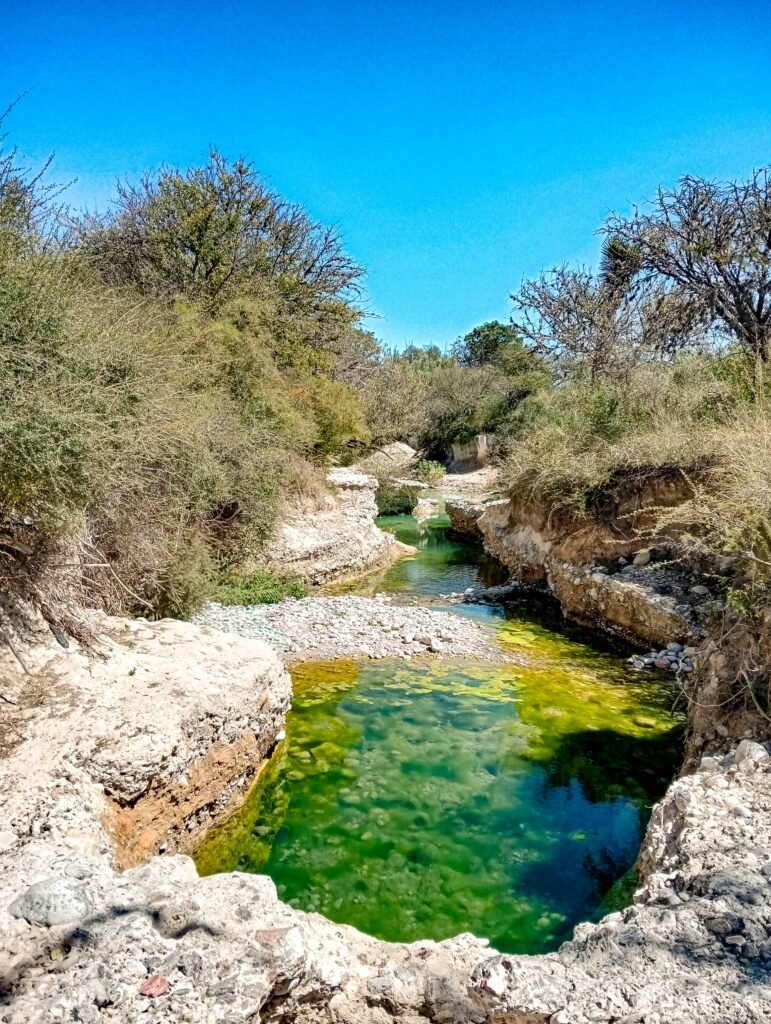 altiplano de san luis potosí méxico